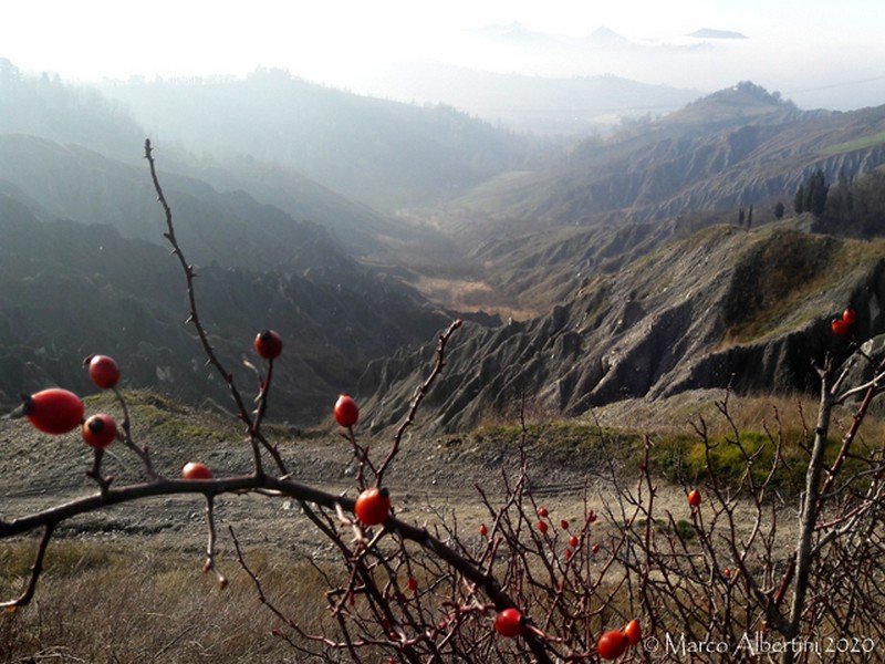 Il signor Inverno