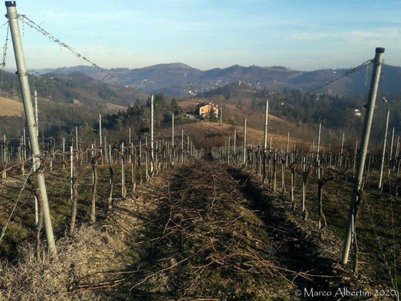 Il signor Inverno