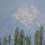 Pasquetta sul Samoggia
