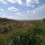 Pasquetta sul Samoggia