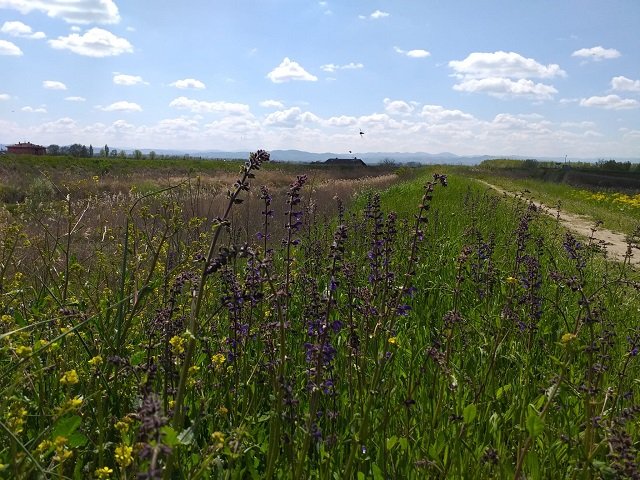 Pasquetta sul Samoggia