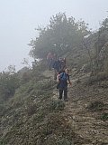 Cammina Natura 2024