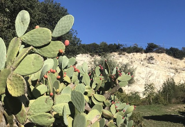 Mare Monti e Poesia
