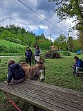 Open Weekend Colli Bolognesi