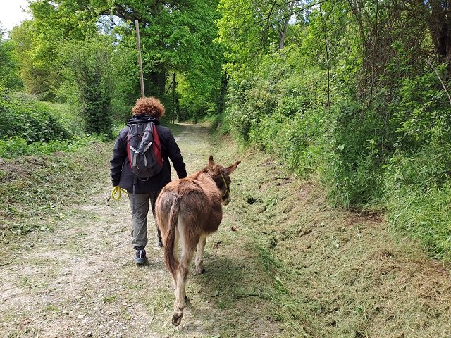 Open Weekend Colli Bolognesi