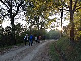 Sulle Tracce dei Brentatori