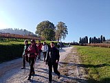 Sulle Tracce dei Brentatori
