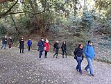 I Giganti di Bologna
