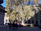 I Giganti di Bologna
