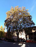 I Giganti di Bologna