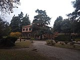 Sulle Tracce dei Brentatori