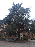 Sulle Tracce dei Brentatori