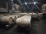 Sulle Tracce dei Brentatori
