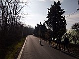 Su e gi&ugrave; per i colli Bolognesi