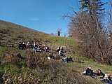 Su e gi&ugrave; per i colli Bolognesi