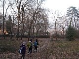Su e gi&ugrave; per i colli Bolognesi