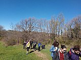 Scoprendo le Marmotte di Bologna