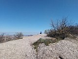 Scoprendo le Marmotte di Bologna