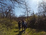 Scoprendo le Marmotte di Bologna