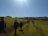 Scoprendo le Marmotte di Bologna