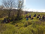 Scoprendo le Marmotte di Bologna