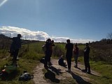 Scoprendo le Marmotte di Bologna