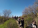 Scoprendo le Marmotte di Bologna