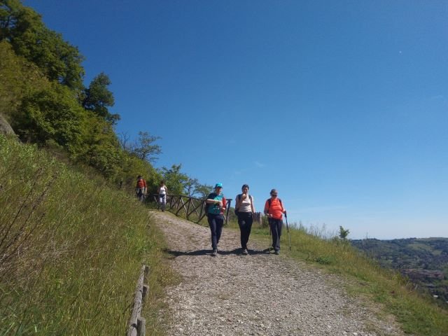 I tesori del Parco di Monteveglio