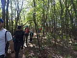 I tesori del Parco di Monteveglio