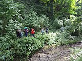 I tesori del Parco di Monteveglio