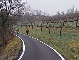 Un Anello tra Vigneti e Castelli