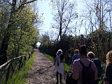 Il Giappone tra Bologna e Modena