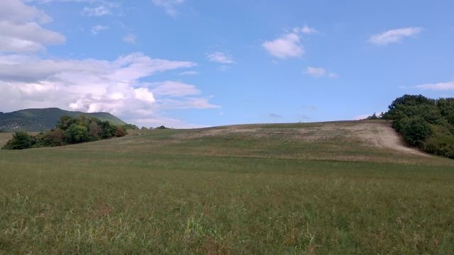  Nella terra dei signori di Panico 