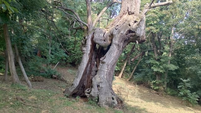 Antichi mulini e valli autunnali 