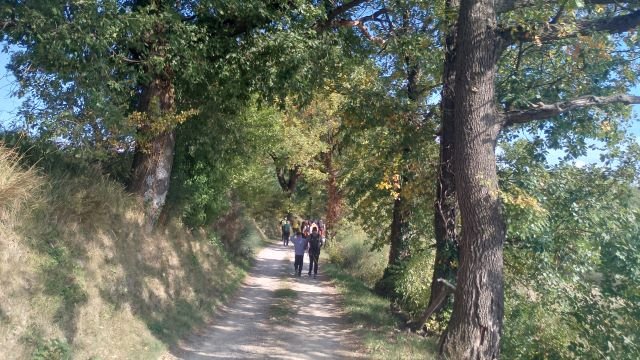 Antichi mulini e valli autunnali 