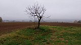 L'antica Via Cavara
