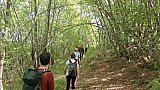 Monte Pero e la Linea Gotica