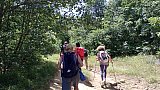 Conchiglie e antiche spiagge in Appennino