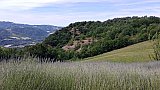 Conchiglie e antiche spiagge in Appennino