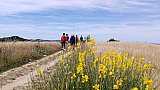 Conchiglie e antiche spiagge in Appennino