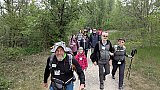 Passeggiata tra i ciliegi in fiore