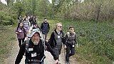 Passeggiata tra i ciliegi in fiore