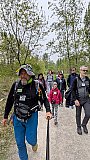 Passeggiata tra i ciliegi in fiore