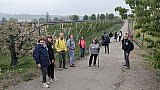 Passeggiata tra i ciliegi in fiore