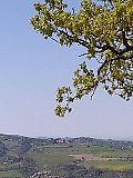 Nostra Madre Terra