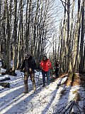 Campigna e Monte Falco