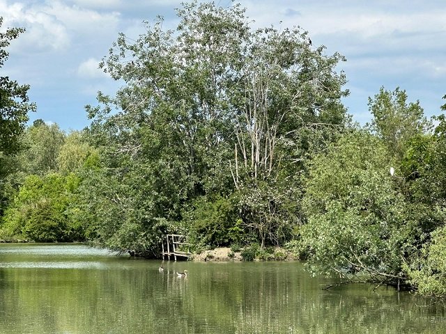 Il Percorso dell'Acqua