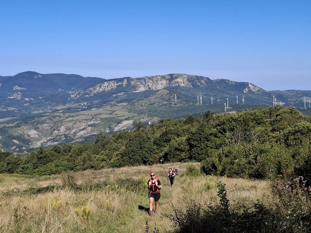 Monte Coloreta