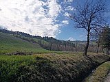 Valorose