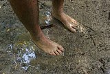 Con la Terra sotto i piedi (nudi)